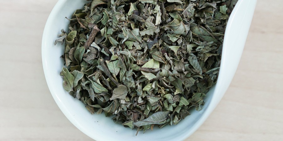 Teas Red Blossom Tea | Wild Guava Leaves